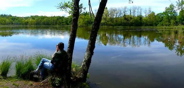 The - Casa Hébergement de vacances