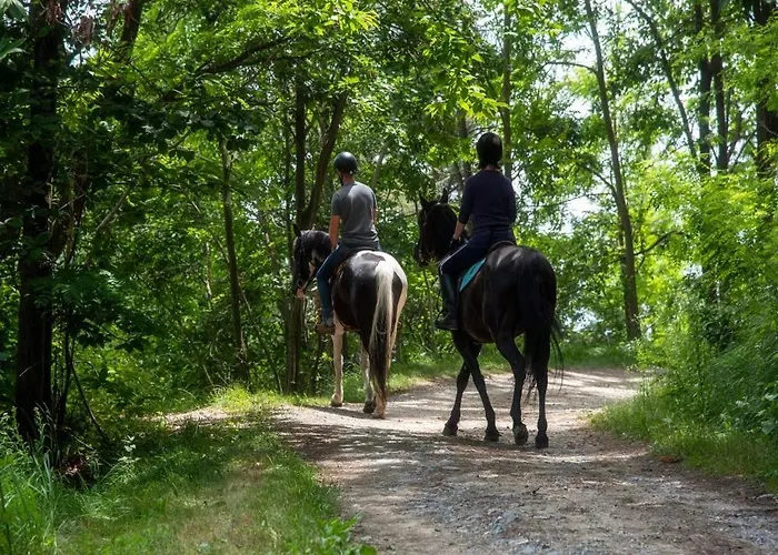 The - Casa 度假居