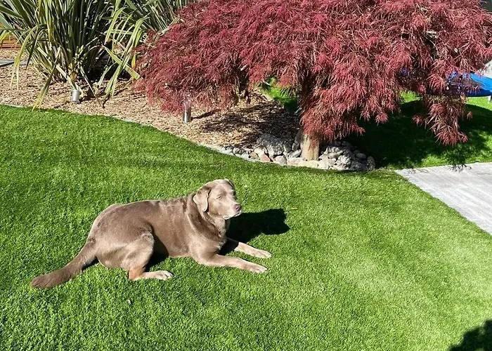 度假居 The - Casa *